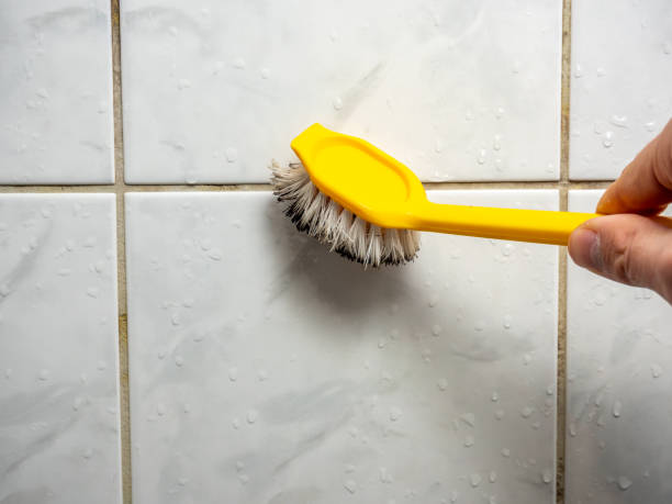 Best Mold Testing  in Barnesville, OH