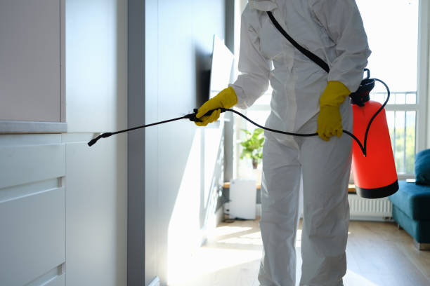 Best Affordable Mold Removal  in Barnesville, OH
